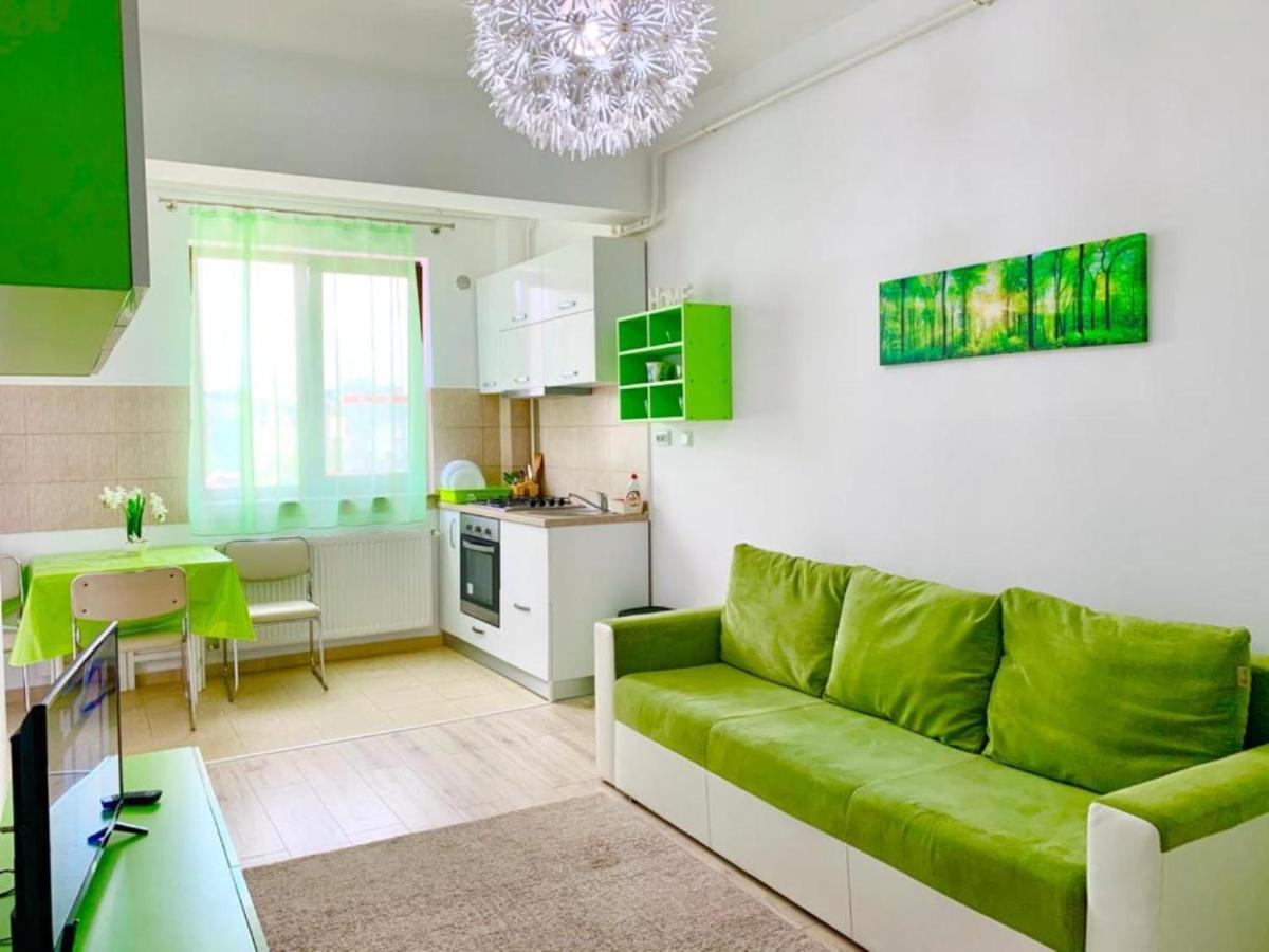 Palas View Apartments Near Palas Mall Ясси Екстер'єр фото
